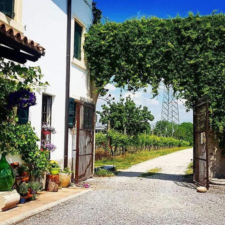 베로나 Corte Le Vigne B&B 외부 사진